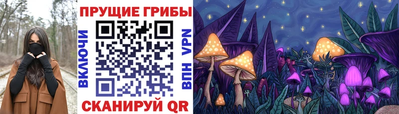 Галлюциногенные грибы ЛСД Судогда